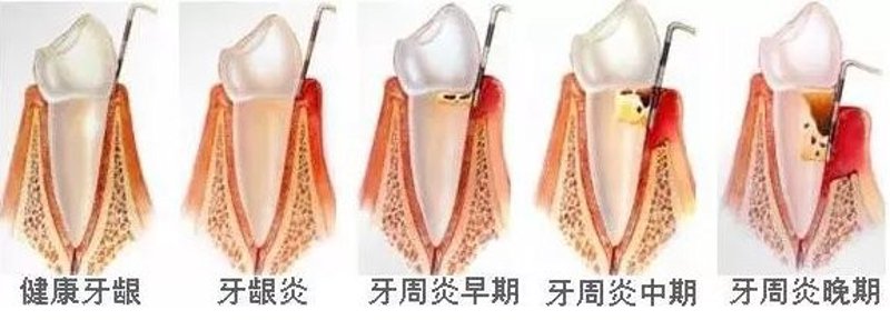 南京口腔：城市微笑背后的隐形英雄